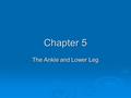 Chapter 5 The Ankle and Lower Leg. Clinical Anatomy  VERY IMPORTANT! Pages 136-145  Bones and bony landmarks  Articulations and ligamentous support.