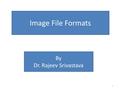 Image File Formats By Dr. Rajeev Srivastava 1. Image File Formats Header and Image data. A typical image file format contains two fields namely Dr. Rajeev.