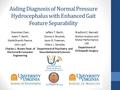 Aiding Diagnosis of Normal Pressure Hydrocephalus with Enhanced Gait Feature Separability Shanshan Chen, Adam T. Barth, Maïté Brandt-Pearce, John Lach.