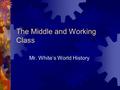 The Middle and Working Class Mr. White’s World History.