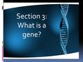 Section 3: What is a gene?. Genes First let’s compare Chromosomes to a towel.
