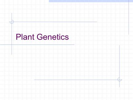 Plant Genetics. Genetics can be defined as A. the study of genes. B. the inheritance of physical traits. C. the study and inheritance of DNA. D. the study.