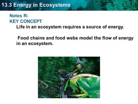 13.3 Energy in Ecosystems Notes R- KEY CONCEPT Life in an ecosystem requires a source of energy. Food chains and food webs model the flow of energy in.