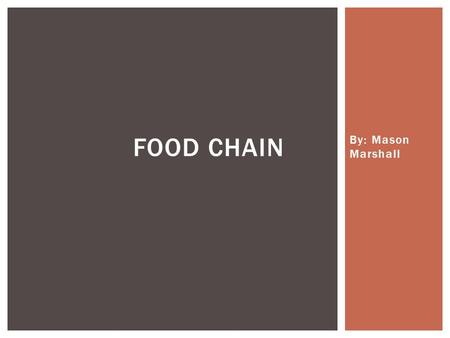 By: Mason Marshall FOOD CHAIN. An ordered arrangement of animals and plants in which each feeds on the one below it in the chain. ProducersHerbivoresCarnivores.
