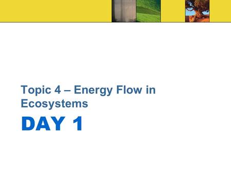 DAY 1 Topic 4 – Energy Flow in Ecosystems. DO NOW 1.Circle the Greek and Latin word parts in each vocabulary term. 2.Use the Greek and Latin meanings.