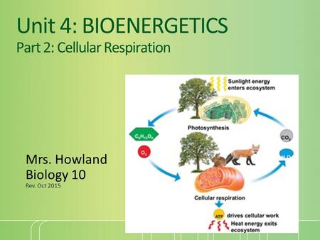 Unit 4: BIOENERGETICS Part 2: Cellular Respiration Mrs. Howland Biology 10 Rev. Oct 2015.