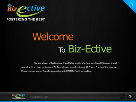 Welcome To Biz-Ective 1 www.bizecive.com We are a team of Professional IT and Sales people who have developed this concept and expanding its services continously.