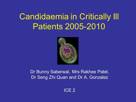 Candidaemia in Critically Ill Patients 2005-2010 Dr Bunny Saberwal, Mrs Rakhee Patel, Dr Seng Zhi Quan and Dr A. Gonzalez ICE 2.