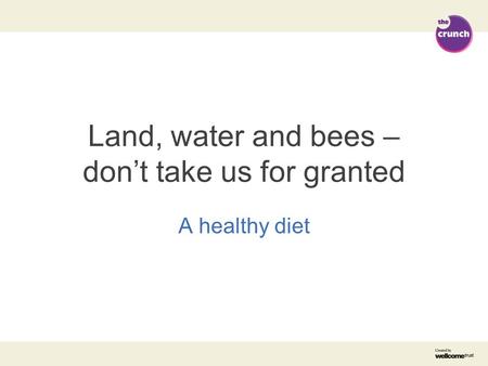 Land, water and bees – don’t take us for granted A healthy diet.