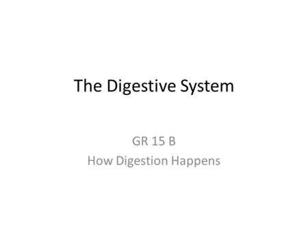 The Digestive System GR 15 B How Digestion Happens.