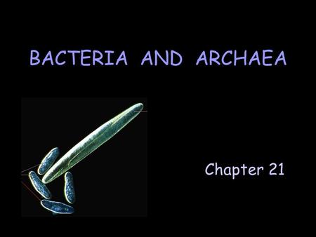 Chapter 21 BACTERIA AND ARCHAEA. 생물학적 진화의 성공사례인 미생물 지구환경에서의 원핵생물 그림 13. 1A. 질소고정세균.