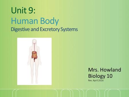 Unit 9: Human Body Digestive and Excretory Systems Mrs. Howland Biology 10 Rev. April 2016.