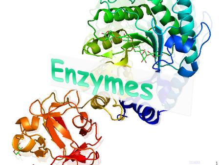1 Images. What Are Enzymes? proteinsMost enzymes are proteins catalystAct as a catalyst to accelerate a reaction Not permanentlyNot permanently changed.