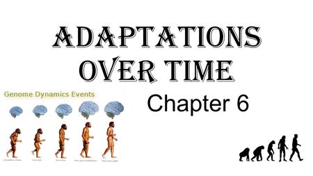 Adaptations Over Time Chapter 6. Ideas about Evolution Evolution-changes in inherited characteristics of a species over time. -A species is a group of.