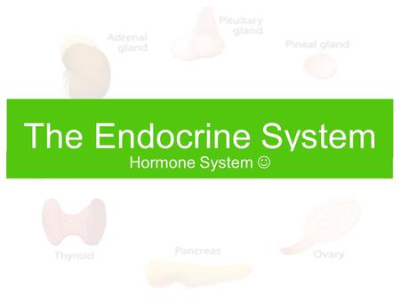 The Endocrine System Hormone System What are endocrine hormones? 1.Chemical signals sent from one cell to another target cell. 2.Chemicals for direct.