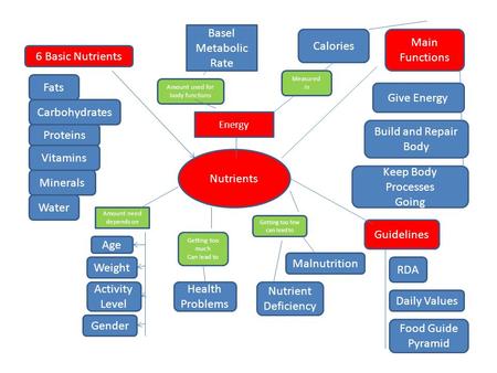 Nutrients Main Functions Give Energy Build and Repair Body 6 Basic Nutrients Fats Carbohydrates Proteins Vitamins Minerals Keep Body Processes Going Amount.