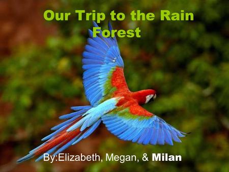 Our Trip to the Rain Forest By:Elizabeth, Megan, & Milan.