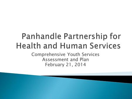 Comprehensive Youth Services Assessment and Plan February 21, 2014.