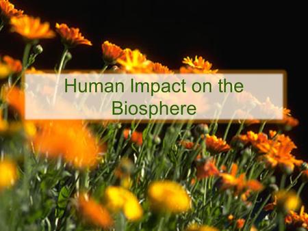 Human Impact on the Biosphere. As the human population grows, the demand for Earth’s resources increases.