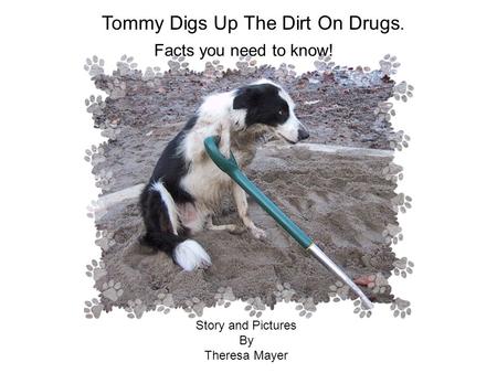 Tommy Digs Up The Dirt On Drugs. Facts you need to know! Story and Pictures By Theresa Mayer.