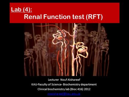 Lab (4): Renal Function test (RFT) Lecturer Nouf Alshareef KAU-Faculty of Science- Biochemistry department Clinical biochemistry lab (Bioc 416) 2012