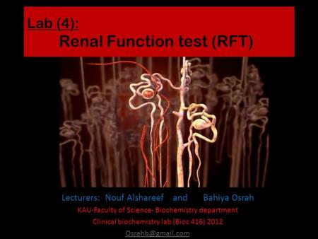 Lab (4): Renal Function test (RFT) Lecturers: Nouf Alshareef and Bahiya Osrah KAU-Faculty of Science- Biochemistry department Clinical biochemistry lab.