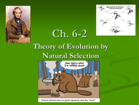 Ch. 6-2 Theory of Evolution by Natural Selection.