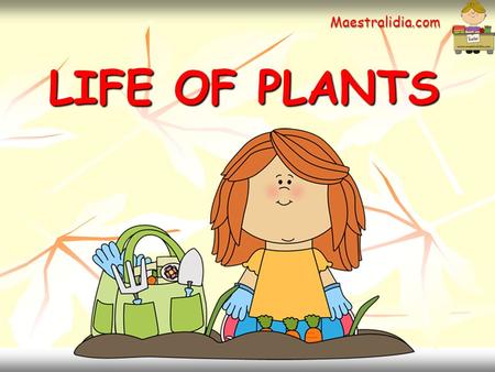 LIFE OF PLANTS LIFE OF PLANTS Maestralidia.com. What do plants need to grow ?