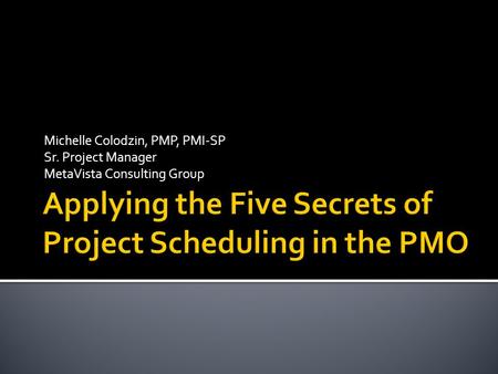 Michelle Colodzin, PMP, PMI-SP Sr. Project Manager MetaVista Consulting Group.