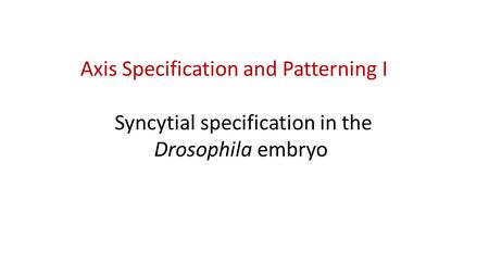 Axis Specification and Patterning I Syncytial specification in the Drosophila embryo.