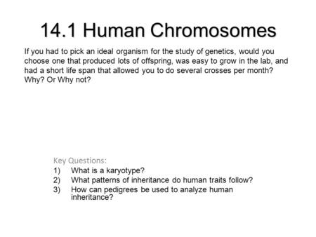 14.1 Human Chromosomes Key Questions: 1)What is a karyotype? 2)What patterns of inheritance do human traits follow? 3)How can pedigrees be used to analyze.