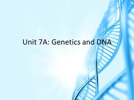 Unit 7A: Genetics and DNA. I. Vocabulary a.DNA: Deoxyribonucleic Acid—the “instruction manual” for an organism b.Double Helix: shape of DNA—looks like.