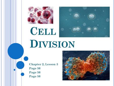Cell Division Chapter 2, Lesson 3 Page 56.
