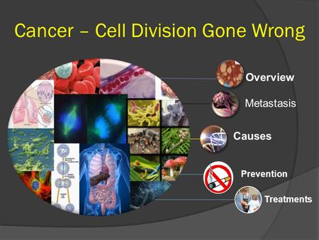Overview Metastasis Causes Prevention Treatments Cancer – Cell Division Gone Wrong.