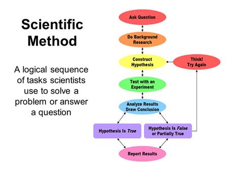 Scientific Method A logical sequence of tasks scientists use to solve a problem or answer a question.