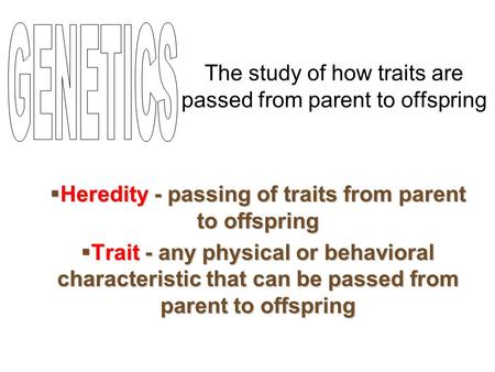 The study of how traits are passed from parent to offspring  Heredity - passing of traits from parent to offspring  Trait - any physical or behavioral.