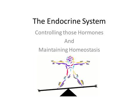 The Endocrine System Controlling those Hormones And Maintaining Homeostasis.