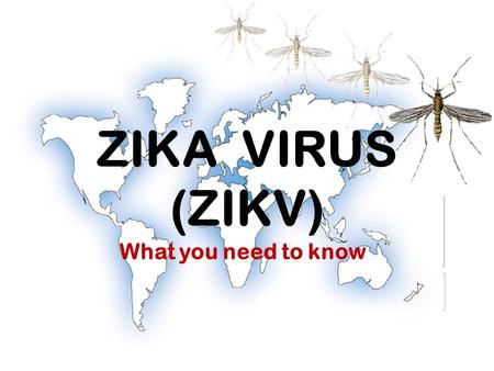 ZIKA VIRUS (ZIKV) What you need to know. www.owwa.gov.ph What is Zika Virus Infection?  Virus belonging to the same family of viruses with Dengue and.