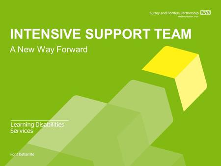 INTENSIVE SUPPORT TEAM A New Way Forward. PREVIOUS SITUATION The average length of stay for a person in an Assessment and Treatment Unit was up to 18.