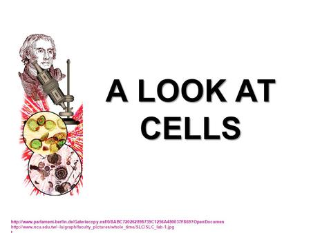 A LOOK AT CELLS