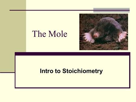 The Mole Intro to Stoichiometry. Measurements in Chemistry Atomic Mass: the mass of an atom of a certain element in atomic mass units (amu). 1 amu = 1.66.