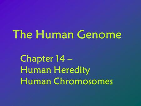 The Human Genome Chapter 14 – Human Heredity Human Chromosomes.