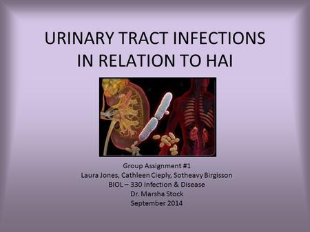 URINARY TRACT INFECTIONS IN RELATION TO HAI Group Assignment #1 Laura Jones, Cathleen Cieply, Sotheavy Birgisson BIOL – 330 Infection & Disease Dr. Marsha.
