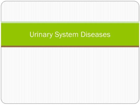 Urinary System Diseases. Objective To describe the symptoms, causes, and treatments for Kidney Stones, Urinary Tract Infections, and Renal Failure.
