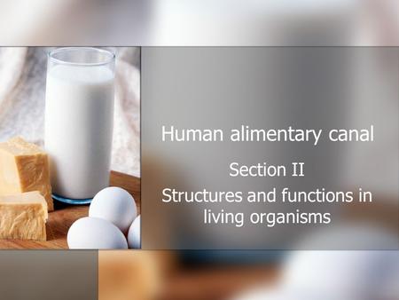 Human alimentary canal Section II Structures and functions in living organisms.