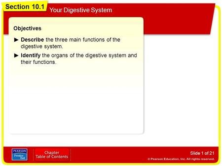 Section 10.1 Your Digestive System Slide 1 of 21 Objectives Describe the three main functions of the digestive system. Identify the organs of the digestive.