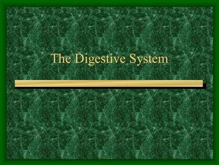 The Digestive System. Digestion The process of changing complex solid foods into simpler soluble forms which can be absorbed by body cells. Enzymes are.