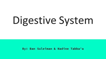 Digestive System By: Ban Suleiman & Nadine Tabba’a.