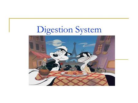 Digestion System. Main Functions Digestion  Process of changing food into a substance body cells can accept Absorption  Transfer of nutrients into blood.