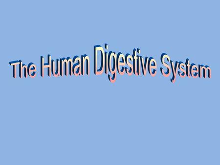 Digestive System The path that your food takes through your body. AKA Gastrointestinal Tract (“GI Tract” for short) Direct link/path between organs.